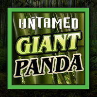 https://asset.middlecallback.com/img/game/seamless/mg/SMG_untamedGiantPanda.png