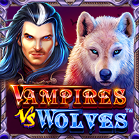 https://asset.middlecallback.com/img/game/seamless/pp/vs10vampwolf.png