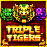 https://asset.middlecallback.com/img/game/seamless/pp/vs1tigers.png