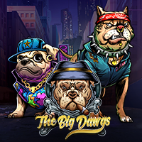 https://asset.middlecallback.com/img/game/seamless/pp/vs20bigdawgs.png