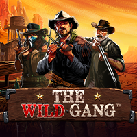 https://asset.middlecallback.com/img/game/seamless/pp/vswayswildgang.png