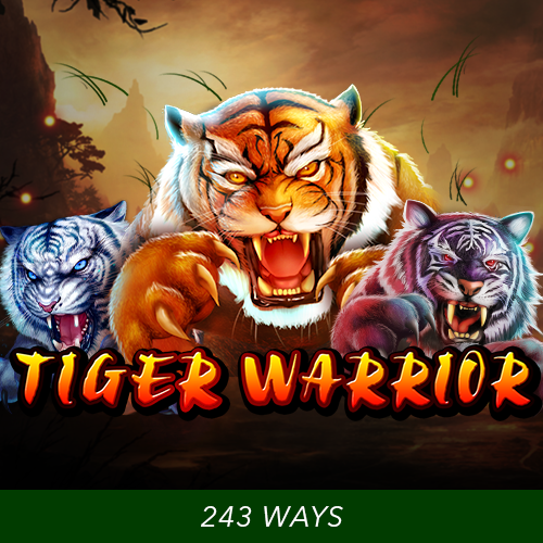 https://asset.middlecallback.com/img/game/seamless/sg/tiger_warrior_500x500_en.png